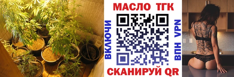Купить где  Циолковский  ТГК жижа 