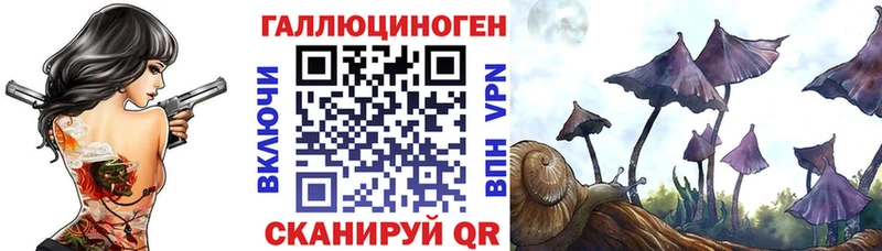 Купить  Циолковский  Псилоцибиновые грибы прущие грибы 